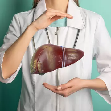 Cum acționează silimarina în organism?