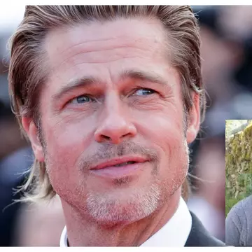 „Mi-a spus că mă iubește”. Cum a fost păcălită o româncă să-i trimită bani unui bărbat care s-a dat drept Brad Pitt
