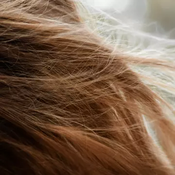 Cum să repari părul deteriorat fără o vizită la salon