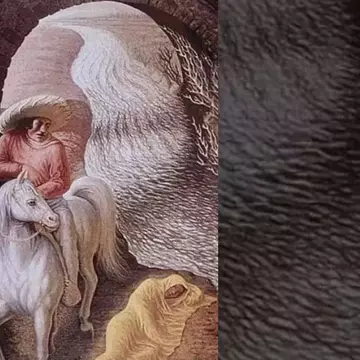 Primul lucru pe care îl vezi în imagine descrie modul în care iubeşti. Această iluzie optică îţi testează simţurile!