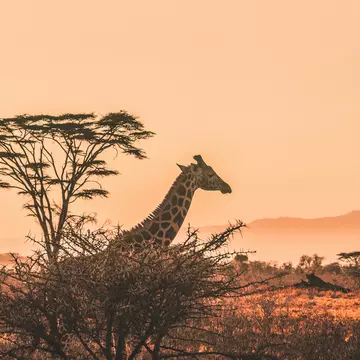 De ce să alegi Kenya ca următoarea ta destinație de vacanță?