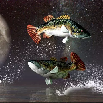 Top 6 zodii care atrag ghinionul ca un magnet. Acești nativi dau numai de necazuri!