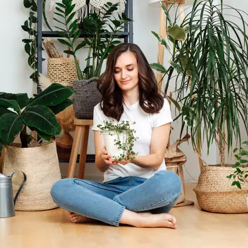 Cum să îngrijeşti plantele de apartament pe caniculă