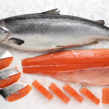 Somon sălbatic sau de crescătorie - care este mai bun. Diferențe și beneficii