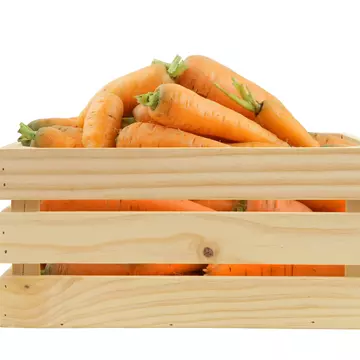 Cum se păstrează morcovii pentru iarnă