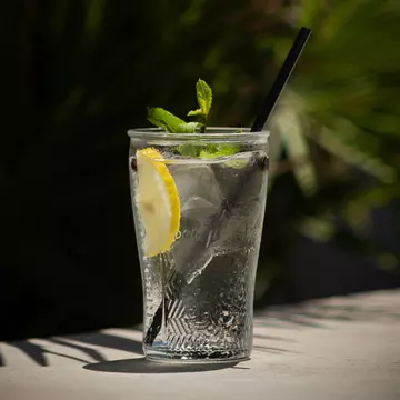 Secretele din spatele unui cocktail perfect: cum să-ți pregătești gin tonic-ul și coniacul în funcție de sezon