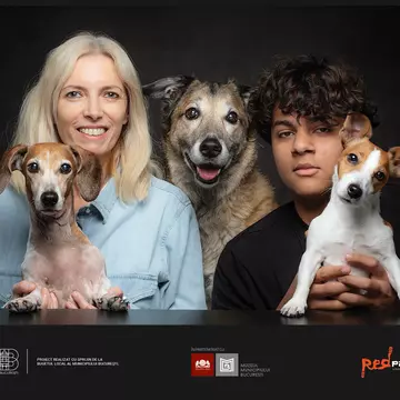Studiu Red Panda: De ce preferă bucureștenii să cumpere căței, în loc să adopte? Criterii și mituri care ghidează includerea unui animal de companie în familie