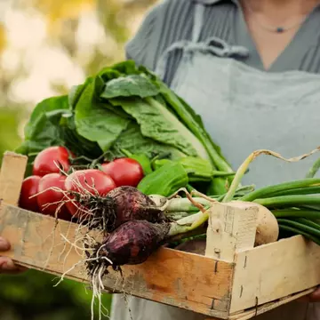 Cum să integrezi ingredientele proaspete de primăvară în alimentația zilnică? 