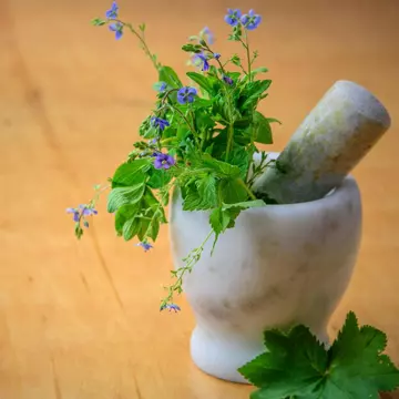 Rolul plantelor medicinale în tratamentele naturiste pentru afecțiuni comune