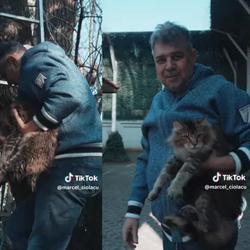 Marcel Ciolacu, într-un hanorac de aproape 4.000 de euro pe TikTok. S-a filmat salvându-și pisica din copac: „A fugit” / Video