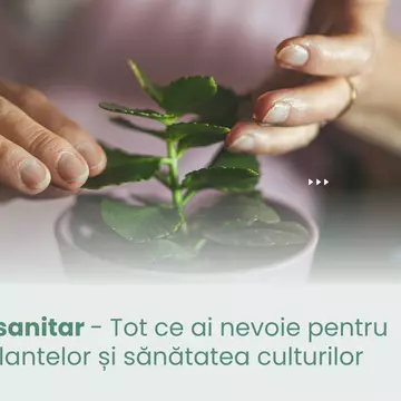 Magazin fitosanitar - Tot ce ai nevoie pentru protecția plantelor și sănătatea culturilor