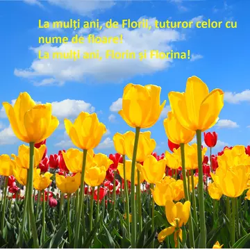 Mesaje de Florii 2025 - Urări și felicitări pentru cei care poartă nume de floare 