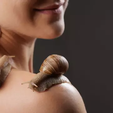Cosmetice coreene și magia lor discretă - Ce ingrediente remarcabile fac toată diferența