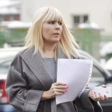 Un teren al Elenei Udrea din sectorul 1 al Capitalei, scos la licitație. Cu cât vinde statul proprietatea fostului ministru