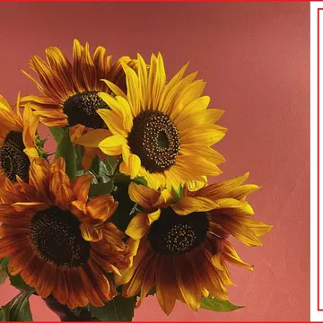 Mesaje de Sfânta Ana 2025 - urări și felicitări de Sfânta Ana