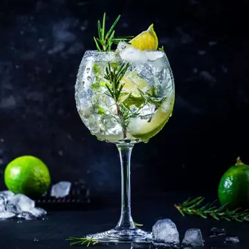 Cum să prepari acasă cocktailuri cu gin: 7 sfaturi și trucuri pentru începători