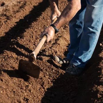Pași esențiali pentru pregătirea terenului înainte de plantare