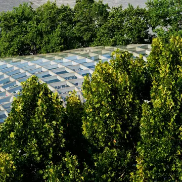 Cum să ai recolte bogate chiar și când vremea nu ține cu tine