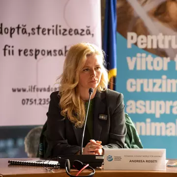 Studiu: Bunăstarea animalelor se vede în farfuria noastră: ouă mai gustoase și mai sănătoase de la găini crescute liber