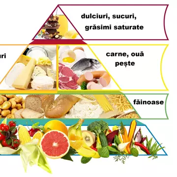 Ce este piramida alimentelor şi la ce foloseşte