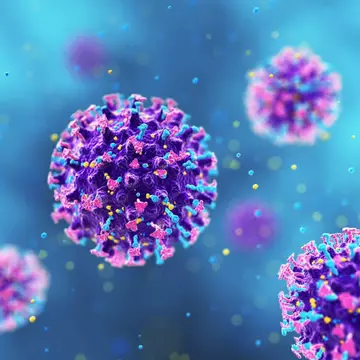 Cine este tânărul din Arad confirmat pozitiv cu hantavirus. Are 24 de ani și cei cu care a intrat în contact au intrat în izolare