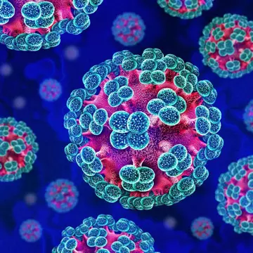 Hantavirus, depistat și în România. Opt județe sunt supravegheate de Ministerul Sănătății
