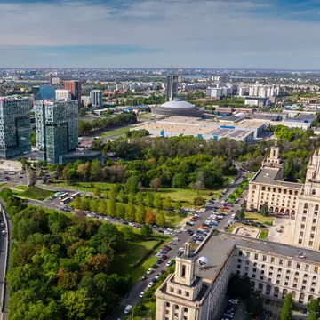 Invazie de molii la București. Ce spun experții și care sunt recomandările autorităților