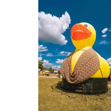 Ținute de festival fără „dacă” și „parcă”. Zalando transformă rața emblematică de la Electric Castle