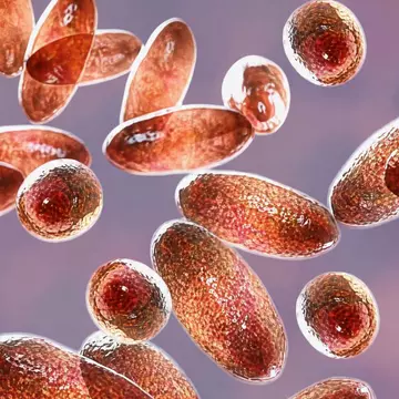 Ce este ciuma pneumonică și cum se răspândește. De ce este cea mai periculoasă formă de pestă