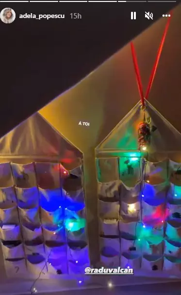 Adela-Popescu-brad-2