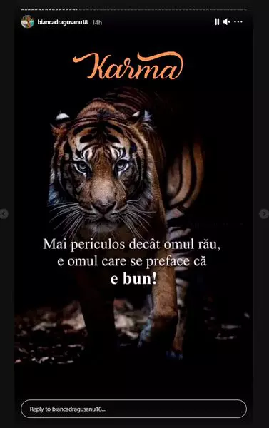 reactie-bianca-dragusanu-irinel-columbeanu-Capture