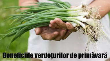 8 verdețuri de primăvară care fac minuni pentru sănătatea ta