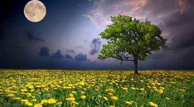 Top 5 zodii influențate de mini-Luna din iunie 2017