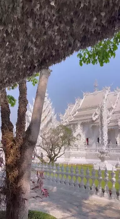 white-temple-asia-express-thailanda