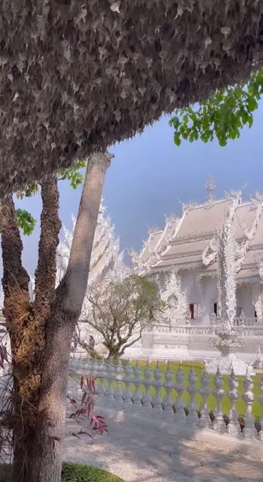 Imagini de la filmarile Asia Express (9)