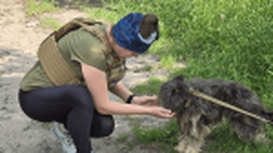 Programe sociale care combat abandonul de animale – o inițiativă ROLDA  
