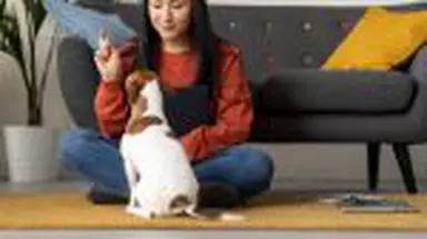 Ce înseamnă să lași pe cineva în grija animalului tău de companie?