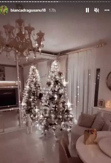 Bianca-Dragusanu-brad-2