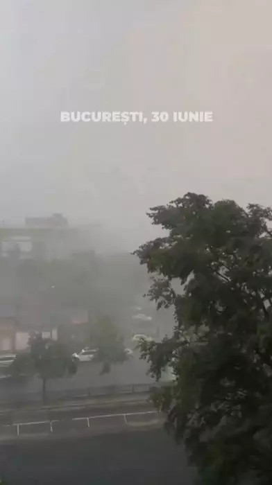 furtuna bucuresti