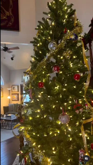 nadia comaneci casa 0