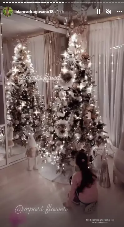 Bianca-Dragusanu-brad-5