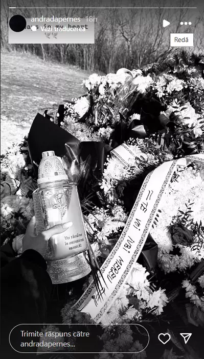 mormant andrei pernes