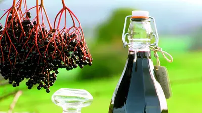 Afinată muntenească