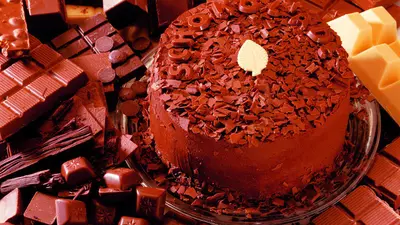 Tort cu cremă de ciocolată