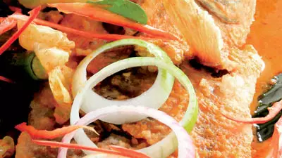 Şalău la cuptor cu sos de roşii