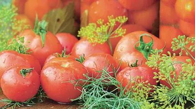 Roşii conservate în apă