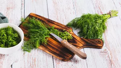 (P) Leurda și mărarul: plante aromatice cu beneficii terapeutice ascunse