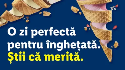 (P) Calitate românească pe piețe europene: Lidl România facilitează exportul de înghețată produsă local către șapte piețe europene