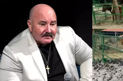 Cum arată domeniul de 5 hectare, din Ferentari, unde locuiește Nuțu Cămătaru. Interlopul a crescut aici, de-a lungul anilor, babuini, lei, canguri sau cămile