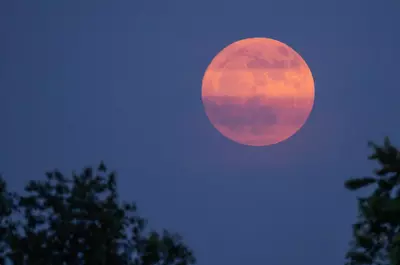 Luna Căpșună se pregătește să răsară. Data și ora la care trebuie să privești cerul